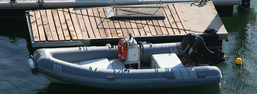 gom-1